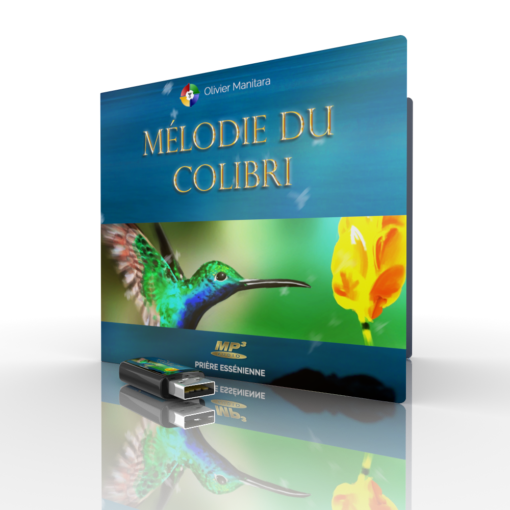 Chant La mélodie du Colibri