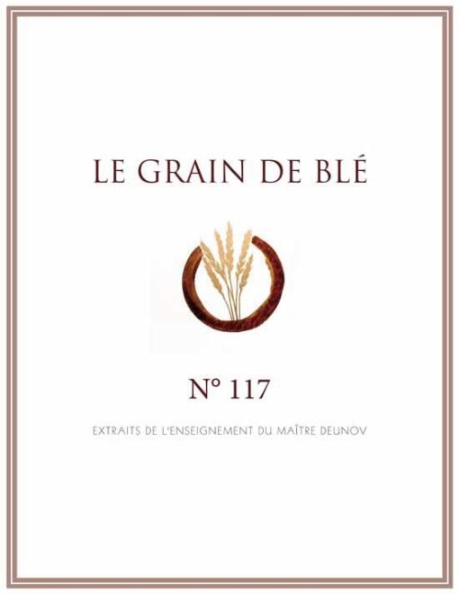 le grain de blé N°117