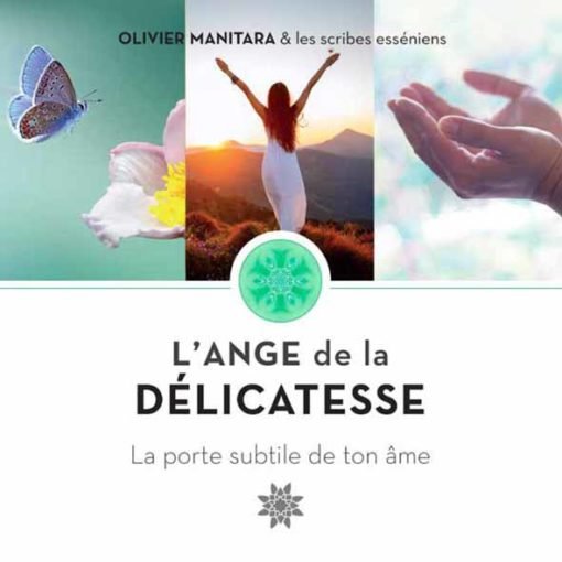 L'Ange de la délicatesse