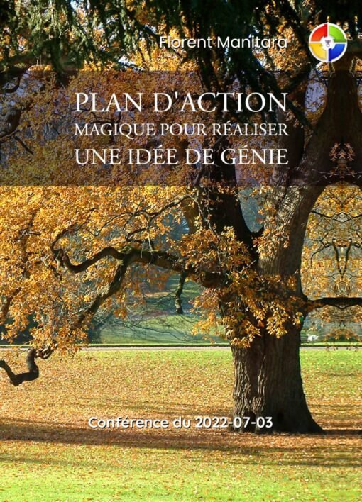 Plan d'action magique pour réaliser une idée de génie 2022-07-03