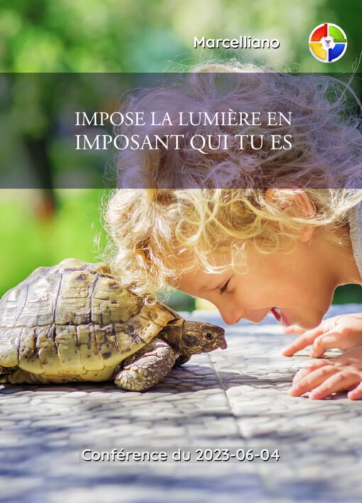 Impose la Lumière en imposant qui tu es - 2023-06-04